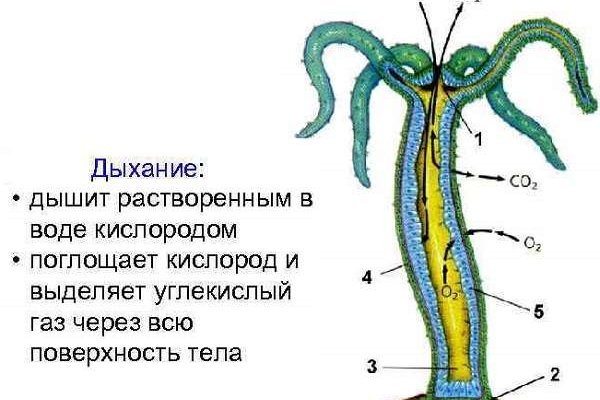 Экстази гашиш кокаин героин купить онлайн