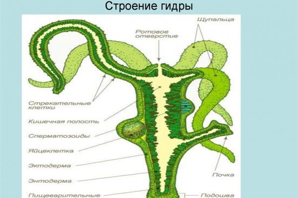 Кракен даркнет как зайти